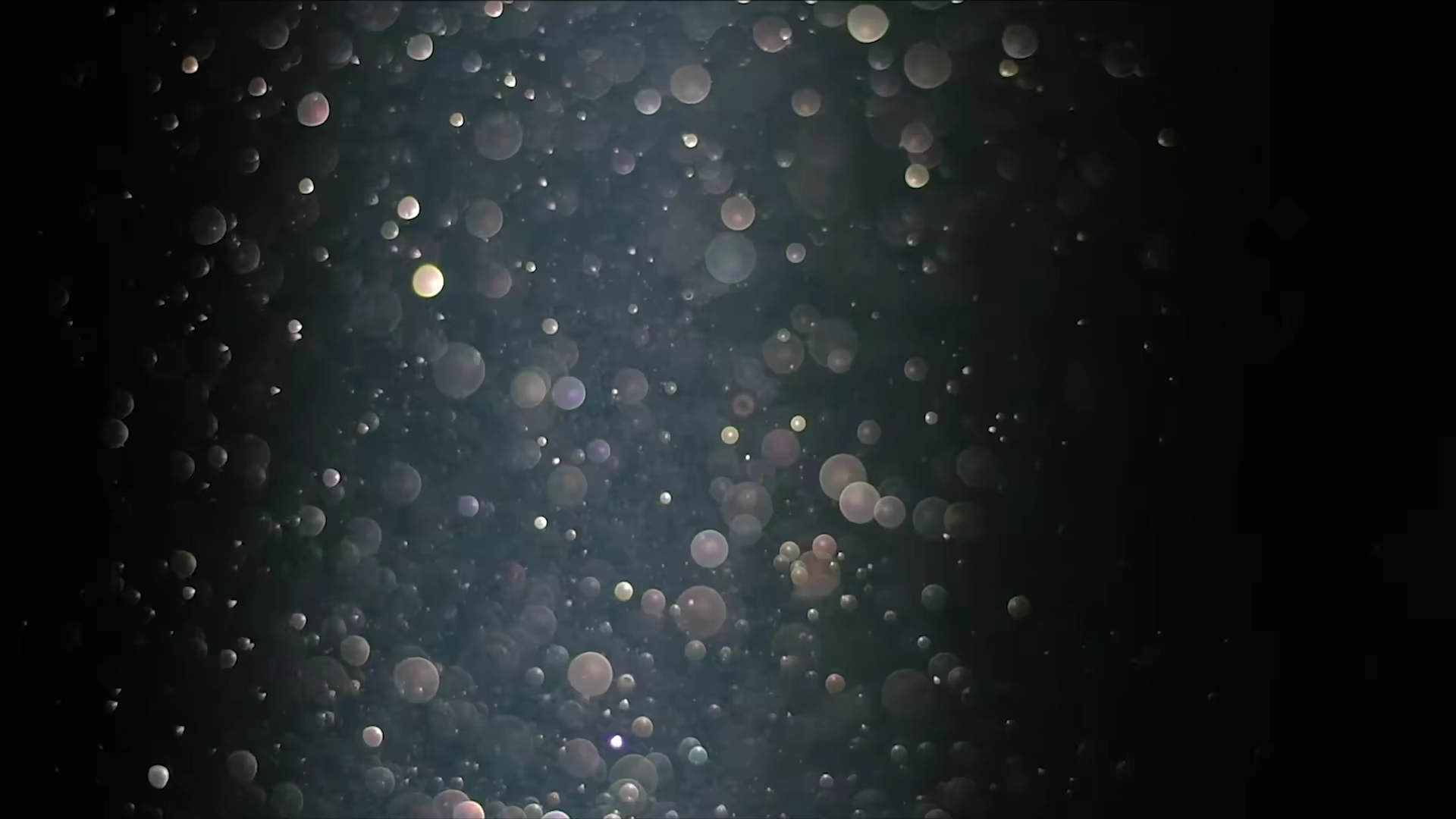 Music for Flowers — -.618